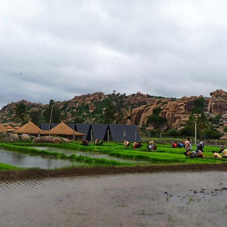 Golden Chariot Resort Hampi Eksteriør bilde