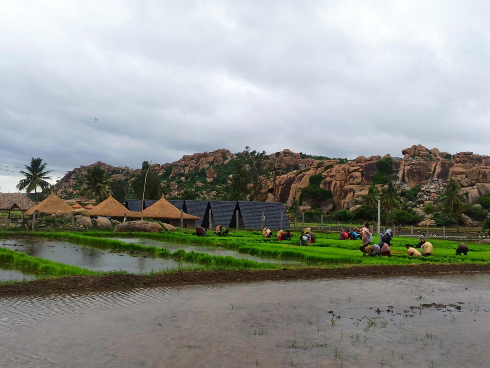 Golden Chariot Resort Hampi Eksteriør bilde